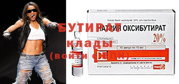 шишки Ельня