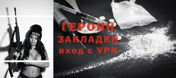 шишки Ельня