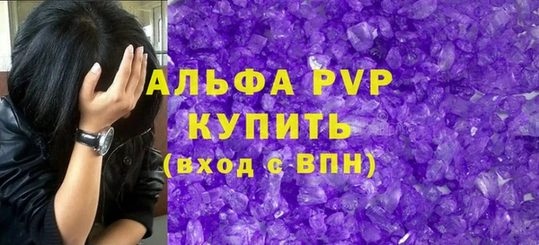 шишки Ельня