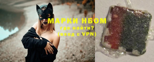 шишки Ельня