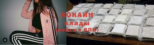 амф Магас