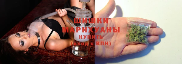 шишки Ельня