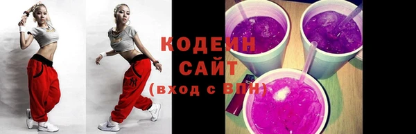 шишки Ельня