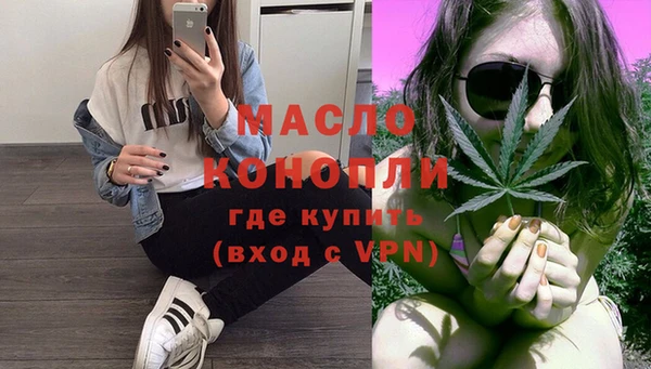 шишки Ельня