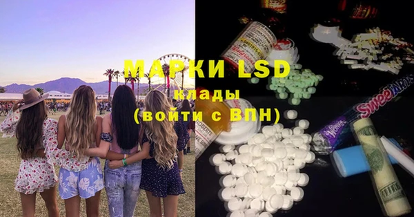 шишки Ельня