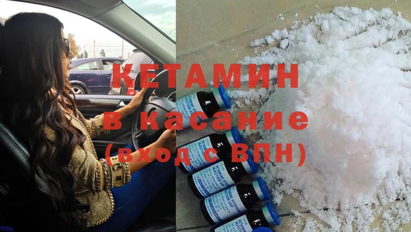 шишки Ельня
