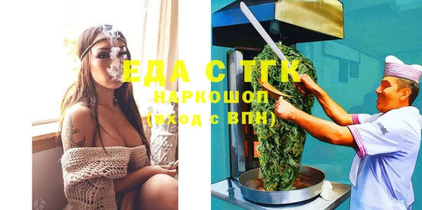 шишки Ельня