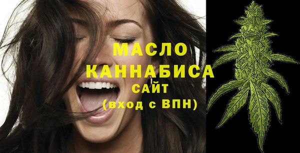 шишки Ельня