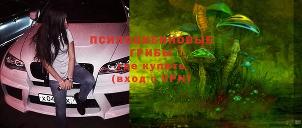 бутират Елабуга