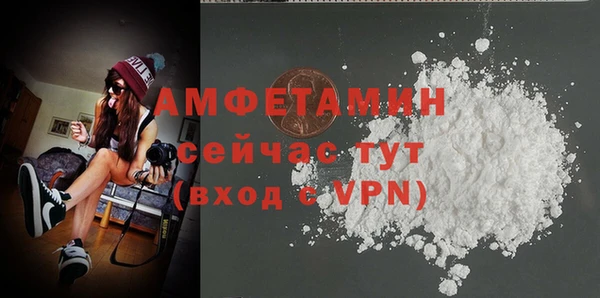 шишки Ельня