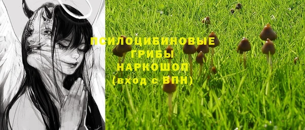бутират Елабуга