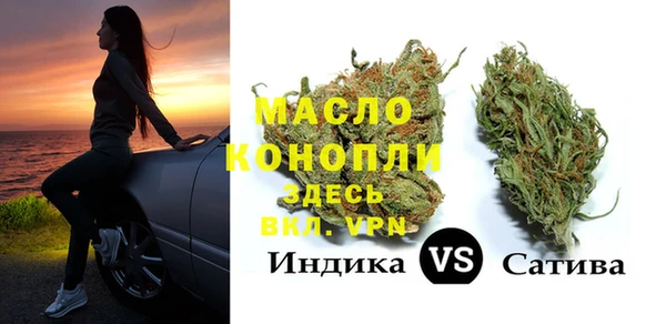 шишки Ельня