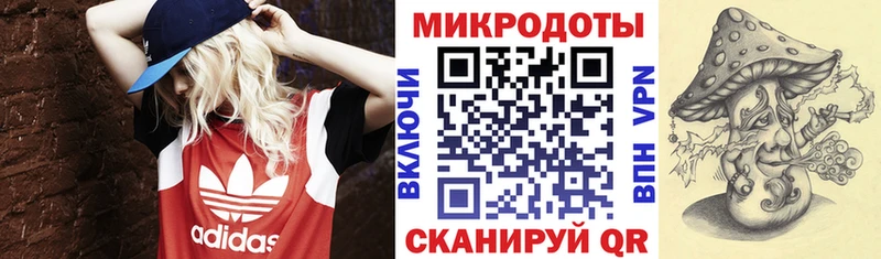 блэк спрут tor  Туапсе  Галлюциногенные грибы Psilocybe 